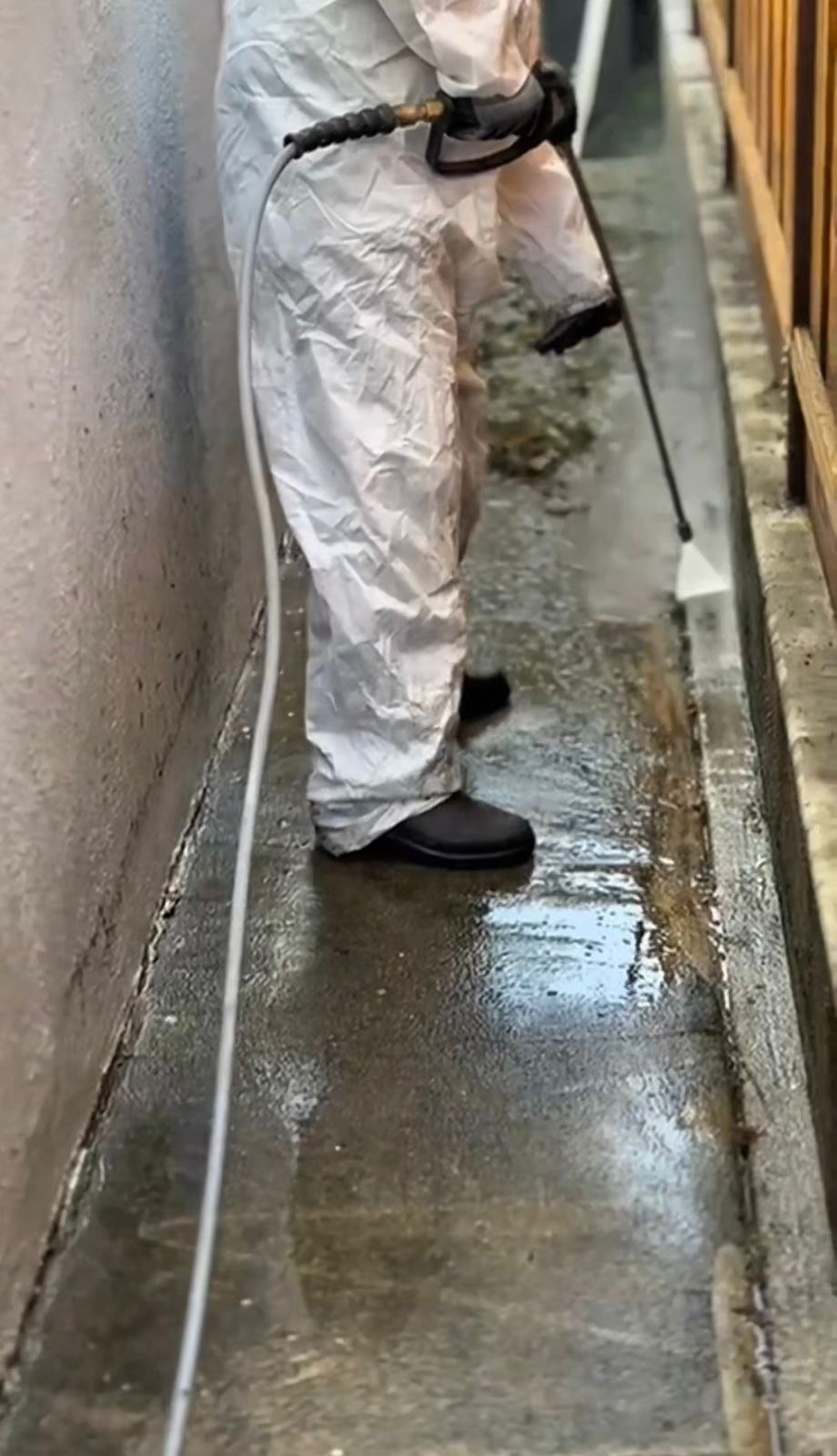 Pressure washing portfolio photo