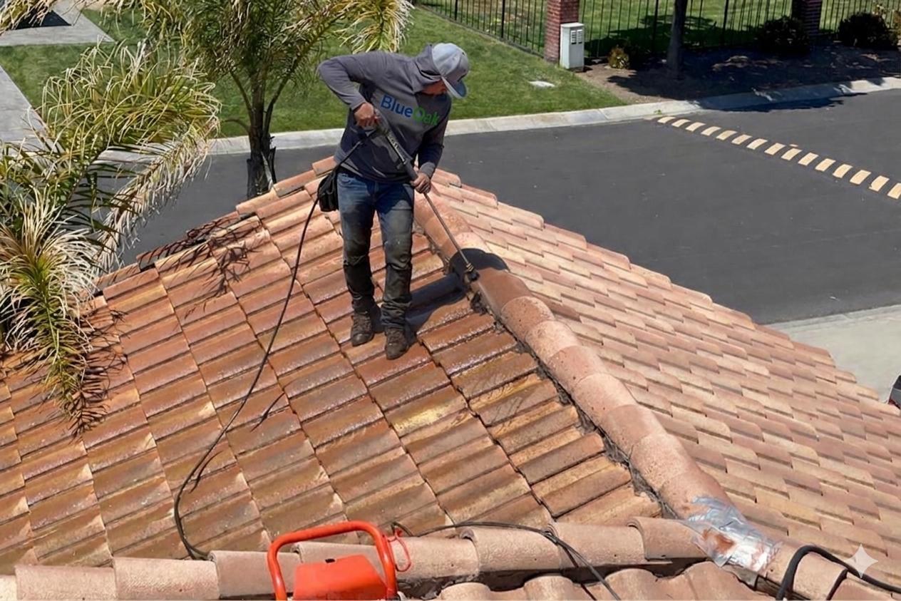 Pressure washing portfolio photo